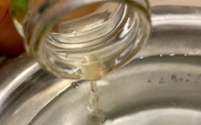 How Do I Use Apple Cider Vinegar for My Dog?