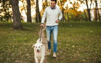 Dr. Jim Carlson Featured on PetMD.com